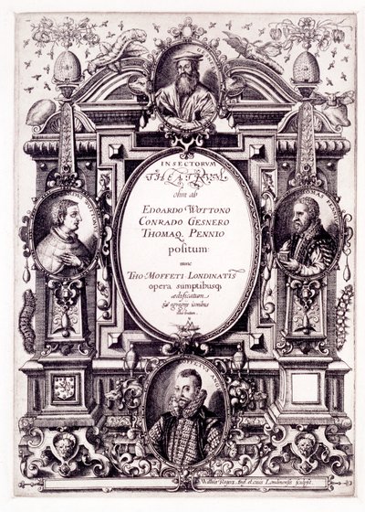 Titelseite zu Moffeti Theatrum Insectorum, späte 1590er von William Rogers